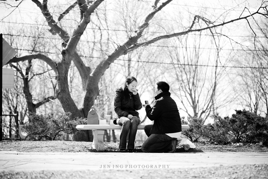 Corey Hill Park - Boston proposal photography