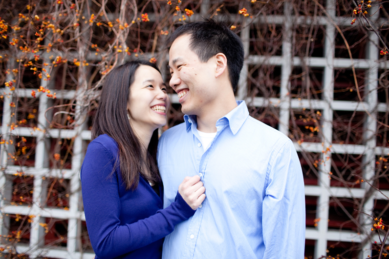 cambridge ma engagement in harvard square